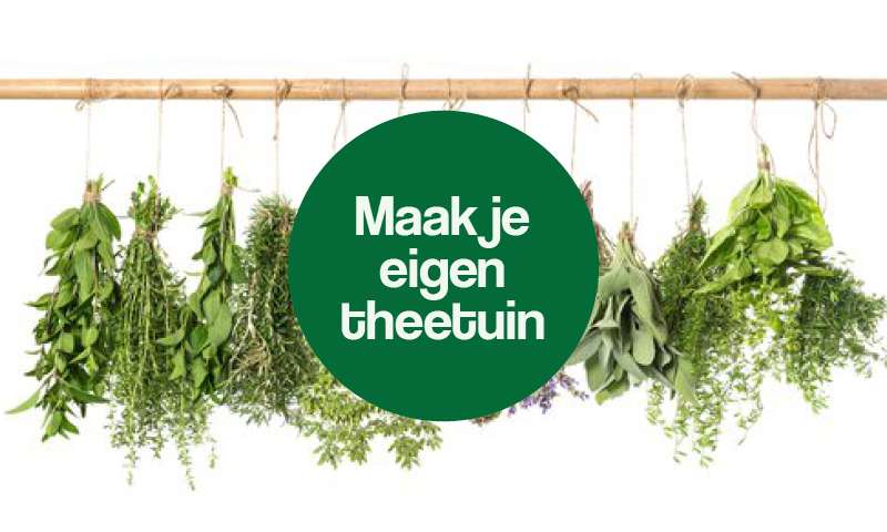 Groene Wijk Week Duurzaamheidspact Eindhoven de Tempel